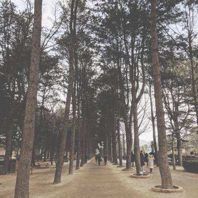 Photo review number 1551 from Alice H