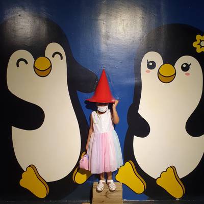 Photo review number 5701 from Bronwyn B