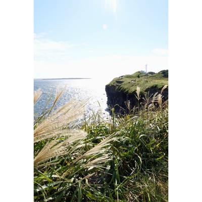 Photo review number 12439 from Lesley P