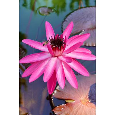 Photo review number 12441 from Lesley P