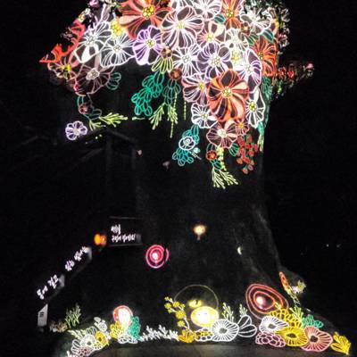 Photo review number 13104 from XAVIER ROEL A