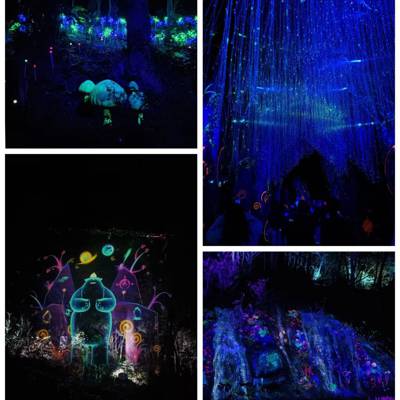 Photo review number 13180 from kdko******@*********