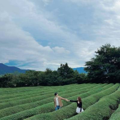 Photo review number 17858 from Lemo********@*********