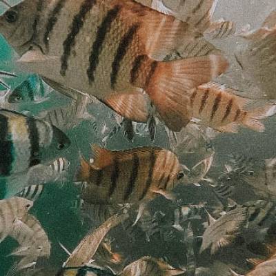 Photo review number 1651 from acho****@*********