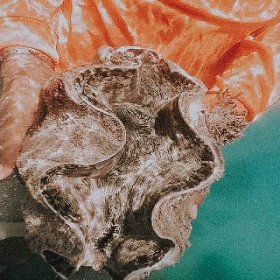 Photo review number 1652 from acho****@*********